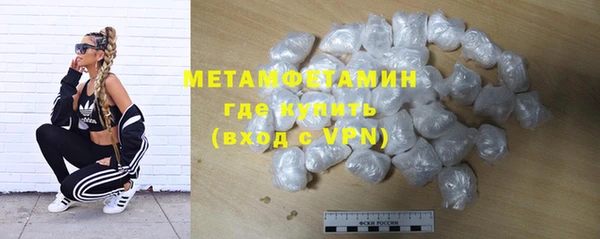 молекула духа Богданович