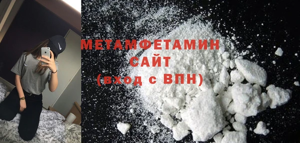 молекула духа Богданович